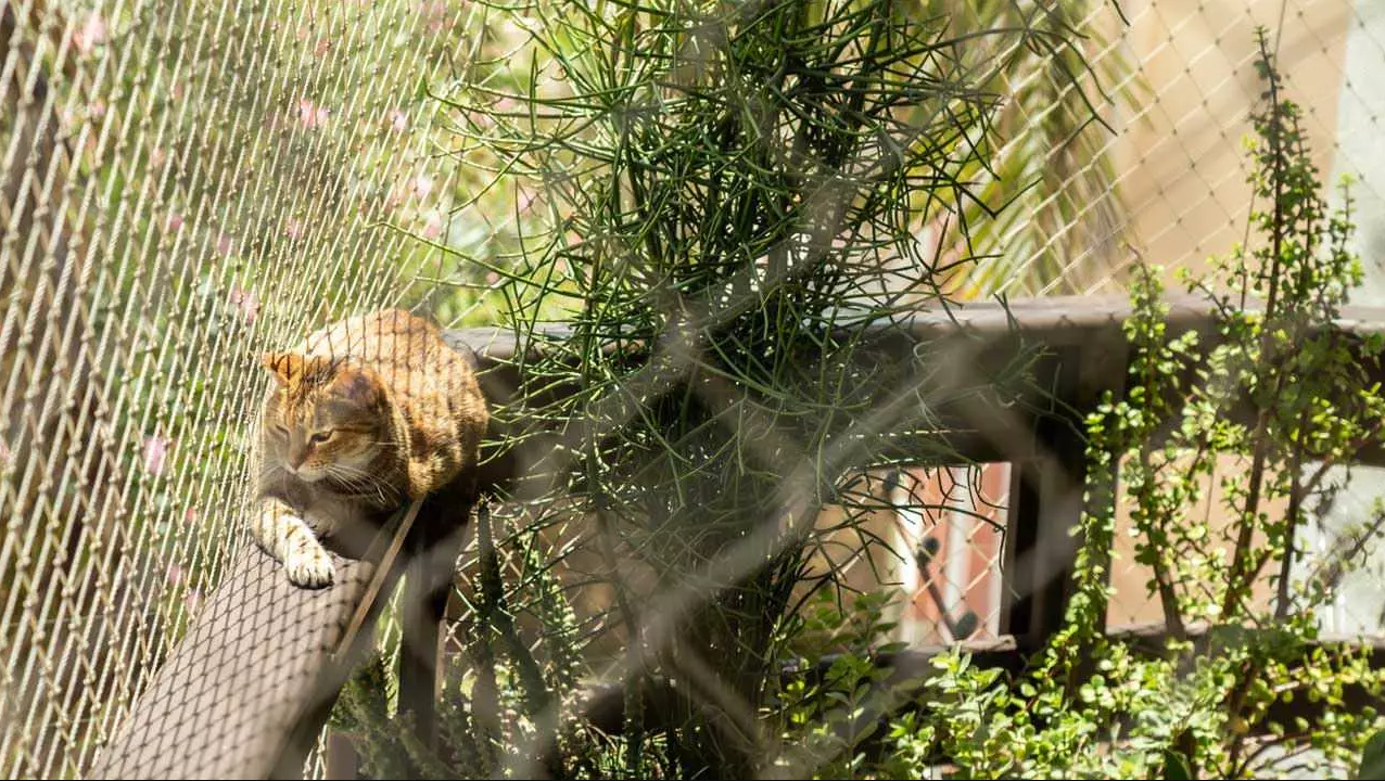 Projelerimizi burdan takip edin